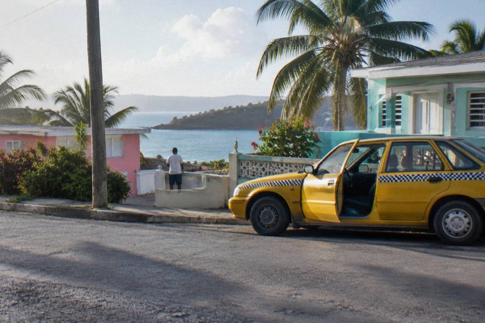 A quiet waterfront street with palm trees and small buildings beside a Caribbean bay